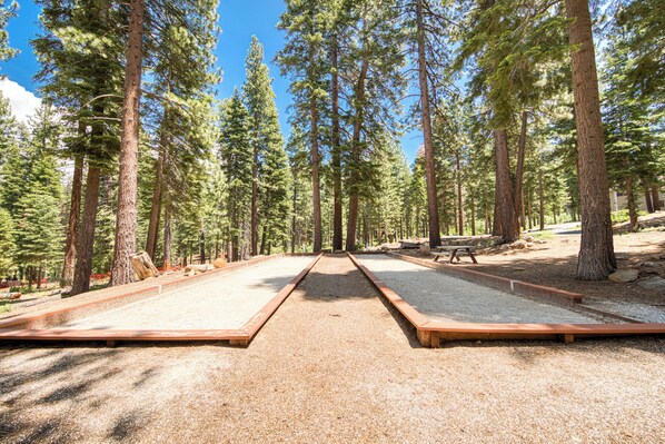 A forested area with a gravel path leading to a picnic table and benches.