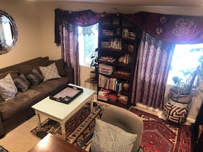 Smart TV, video-game console, DVD player, books