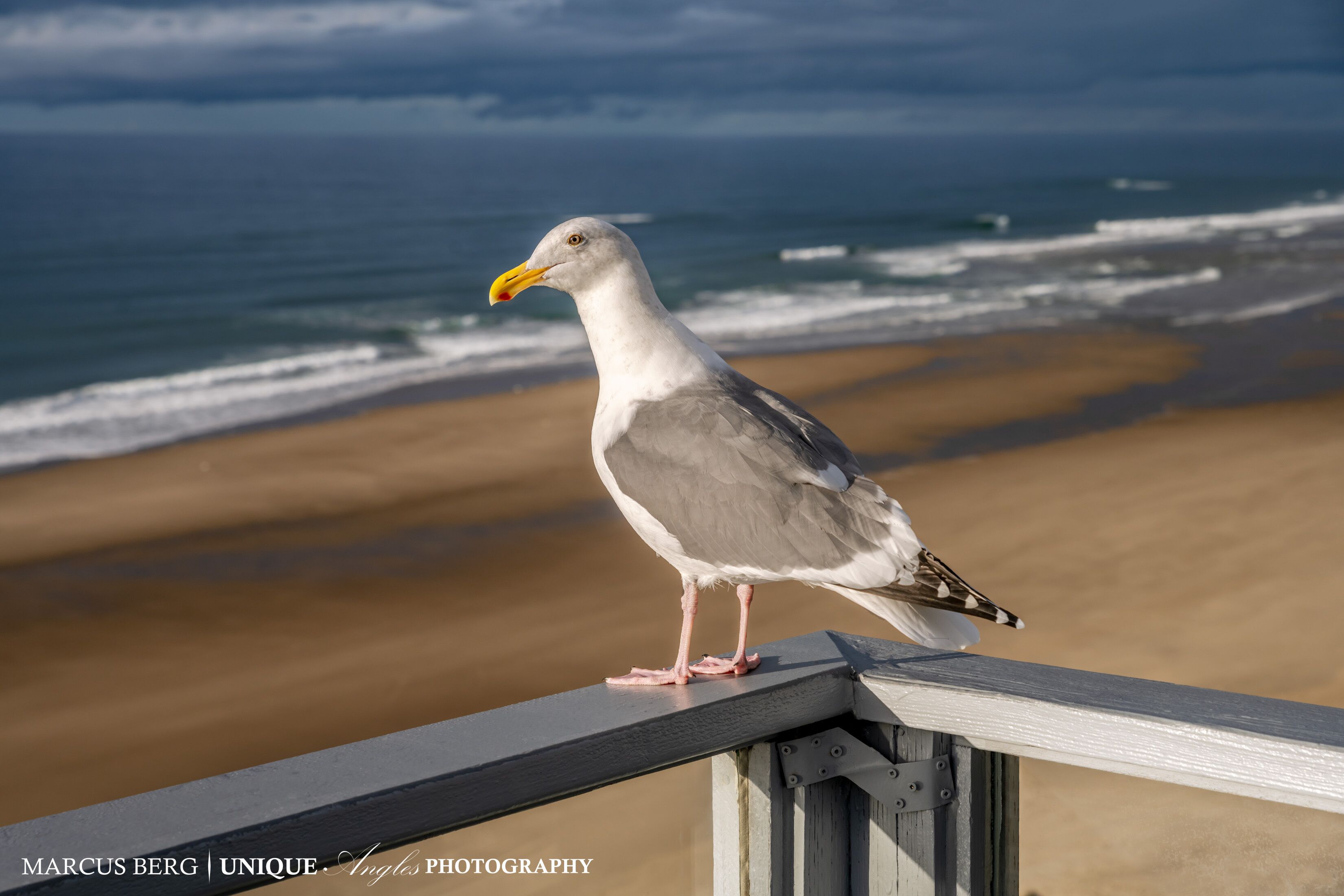Beachfront, Huge deck, tide Pools,whale watching, BBQ, hot tub, game room