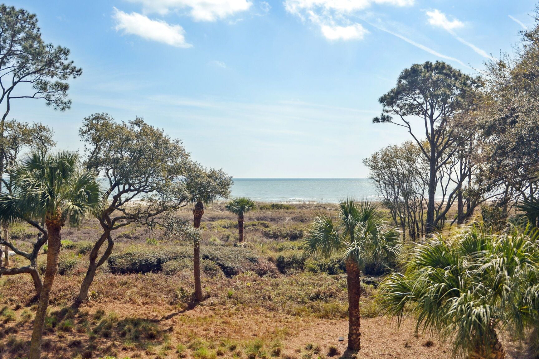 Eine Küstenlandschaft mit spärlicher Vegetation und Bäumen, die zu einem Strand führen.