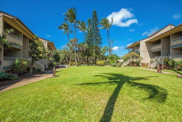 A hotel courtyard with a well-maintained lawn, palm trees, and a clear blue sky.