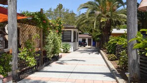A narrow pathway leading to a building with a covered entrance, surrounded by lush greenery and palm trees.