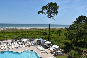 Relax by the pool surrounded by lush greenery and a tall pine tree, with lounge chairs and umbrellas providing shaded spots.