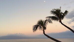 Une scène de plage avec des palmiers et une lune bien visible.