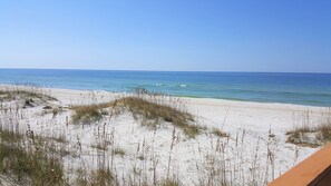On the beach - Shore Perfection: Beachfront Ovation Home, Sleeps 12, Pet-Friendly! (Cape San Blas)