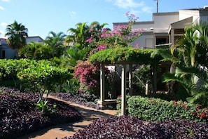 Un jardin agrémenté d’une pergola, de palmiers et de diverses plantes.