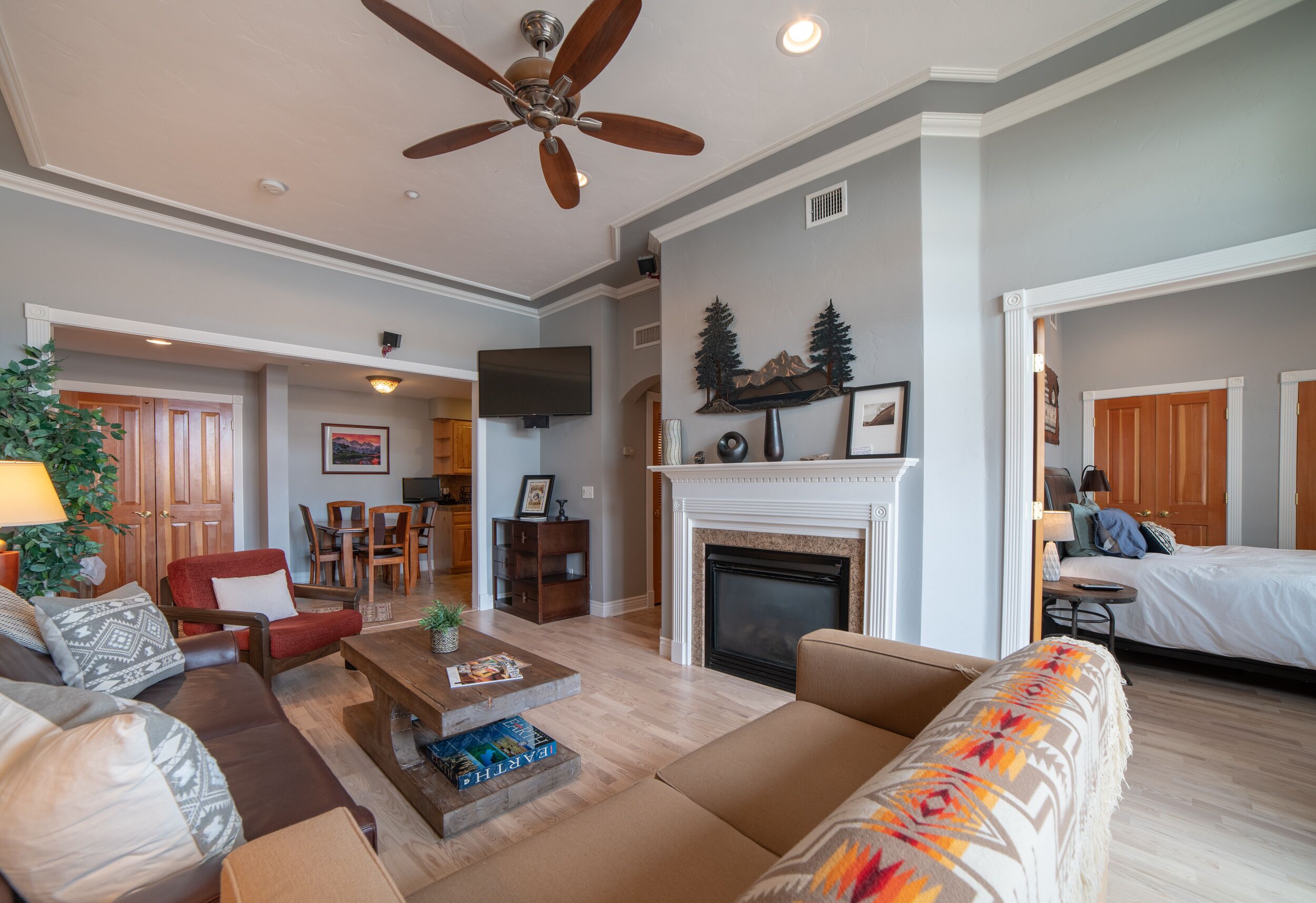 Télévision, cheminée, chaîne hi-fi