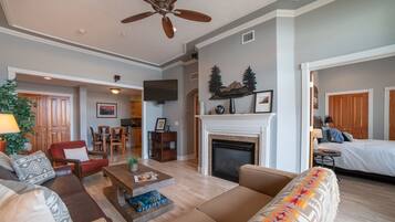 Télévision, cheminée, chaßne hi-fi