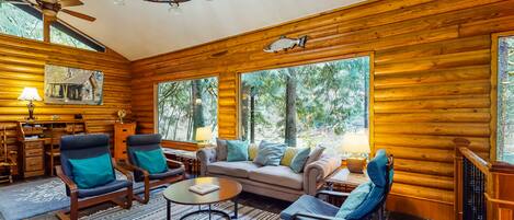 Televisión, chimenea, reproductor de DVD y libros