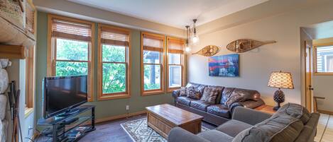 تلفزيون، مدفأة، مشغل دي في دي