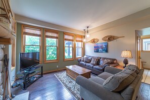 TV, fireplace, DVD player