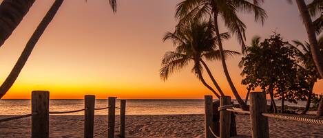 Beach/ocean view