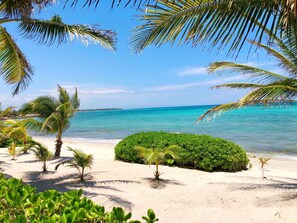 A tropical beach scene with palm trees, clear blue water, and a sandy shore. - Enjoy the ambience of this beachfront condo located in South Akumal! (Akumal)