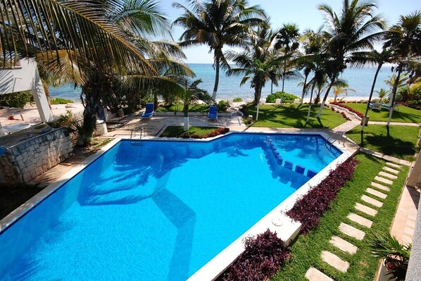 A rectangular swimming pool with a clear blue water, surrounded by a stone wall and a grassy area with palm trees.