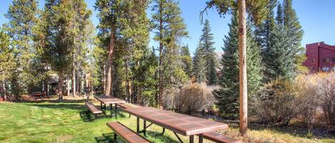 Outdoor picnic area