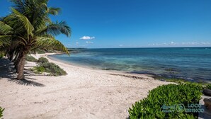 A beach with clear turquoise water, a sandy shore, and a palm tree. - Spacious Beachfront Living on Akumal Bay (South Akumal)
