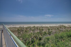 Blick auf einen Strand vom Balkon aus, mit blauem Himmel, Sandstrand und spärlicher Vegetation.