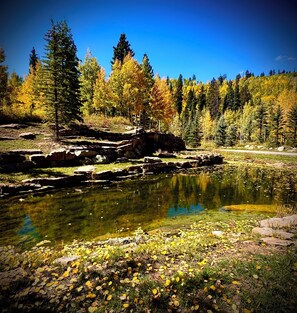 Miscellaneous - Rustic & Spacious Log Cabin w/Private Hot Tub, Amazing Views, 4 Miles to Ski (Durango)