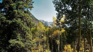 A forested landscape with a mountain in the background. - Rustic & Spacious Log Cabin w/Private Hot Tub, Amazing Views, 4 Miles to Ski (Durango)