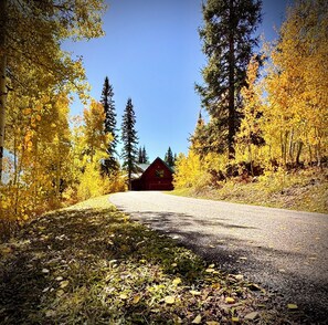 Property grounds - Rustic & Spacious Log Cabin w/Private Hot Tub, Amazing Views, 4 Miles to Ski (Durango)