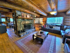 Smart TV, fireplace, books