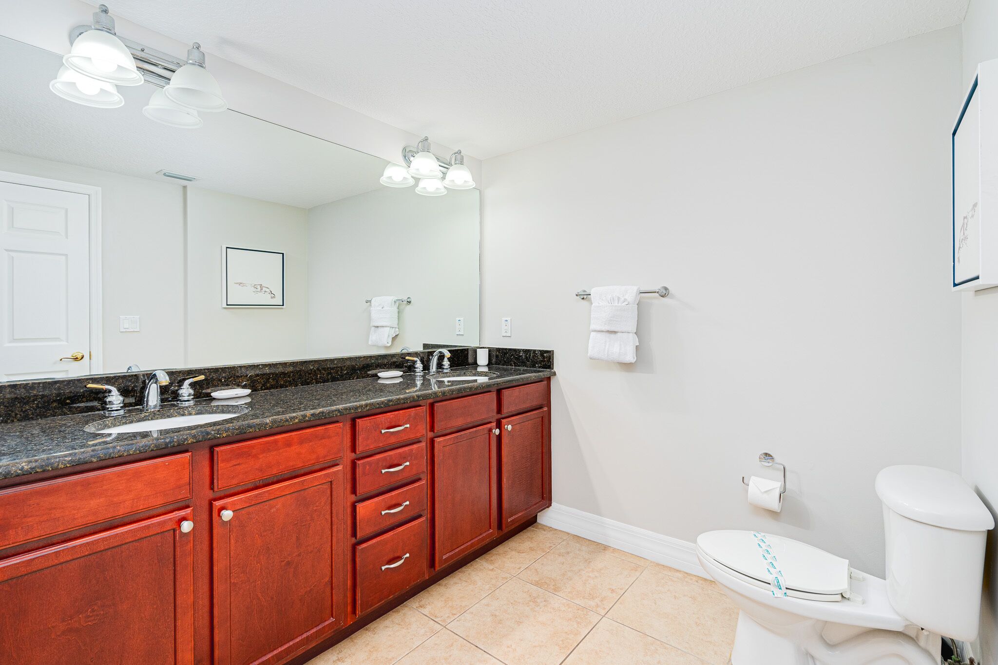 Une salle de bain avec un meuble-lavabo à deux vasques, des toilettes et un grand miroir.