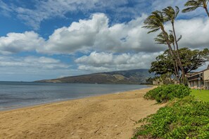 Ein Strand mit blauem Himmel, Palmen und einem fernen Berg.
