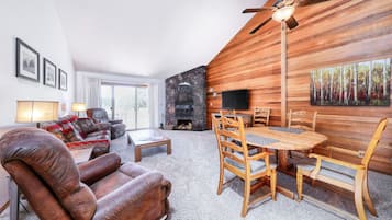 TV, fireplace, books