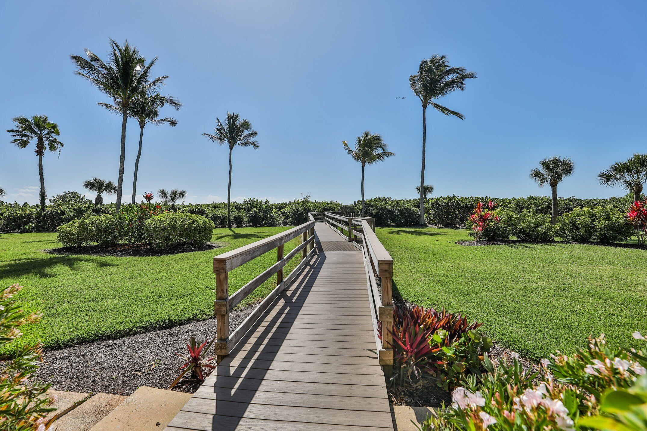 A wooden boardwalk leading through a well-maintained garden with palm trees and flowering plants.