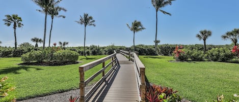 A wooden boardwalk leading through a well-maintained garden with palm trees and flowering plants.