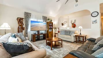 TV, DVD player, streaming services