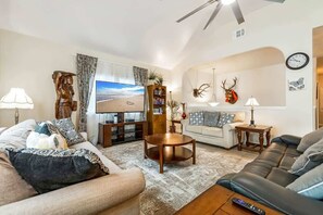 TV, DVD player, streaming services