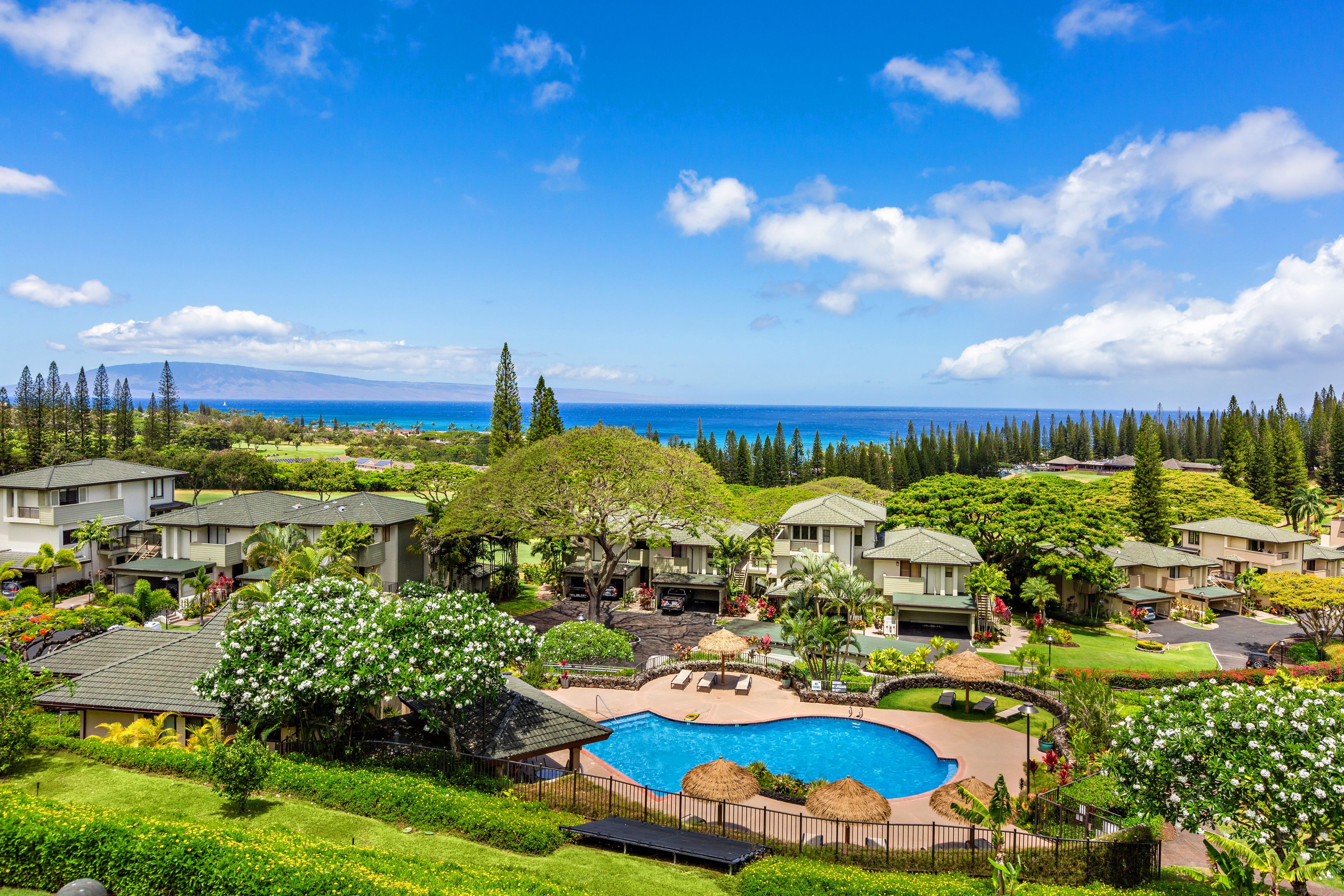 A residential area with a swimming pool surrounded by houses, greenery, and a view of the ocean.