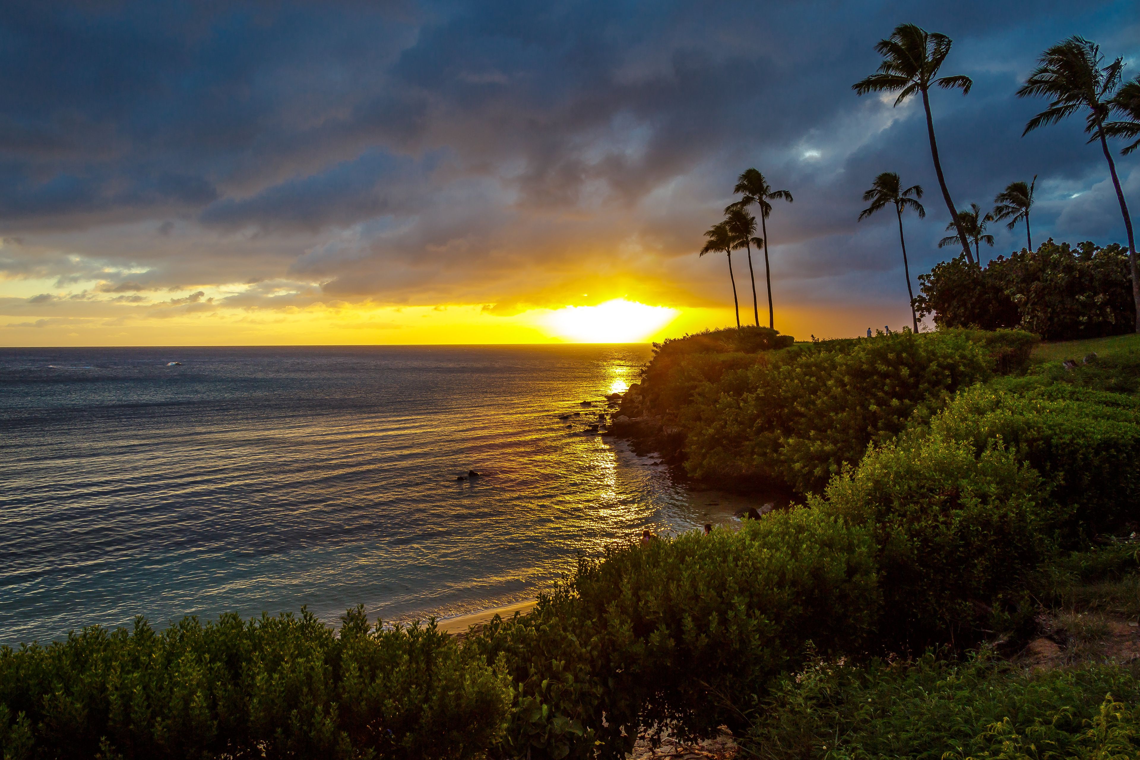 A coastal sunset with palm trees and a rocky shoreline.