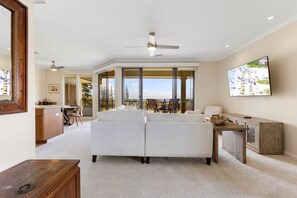 Taulutelevisio, DVD-soitin