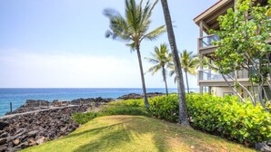 A beachfront property with a grassy area, palm trees, and a building with balconies overlooking the ocean. - Aloha Condos, Keauhou Kona Surf and Racquet Club, Condo 1-102, Oceanfront (Kailua Kona)