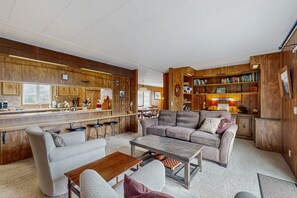 TV, fireplace, DVD player, books