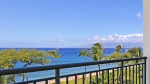 A balcony with a view of the ocean and palm trees.