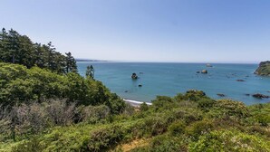 Un paysage côtier caractérisé par une végétation luxuriante et une vue dégagée sur l’océan.