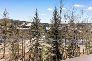 Property grounds - Short Walk to Lifts, Shops, and Dining! Private Balcony with Slope Views (Keystone)