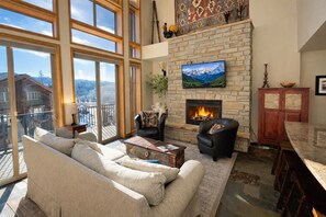 TV, fireplace, DVD player, books