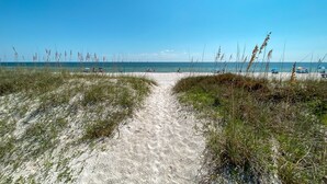 A sandy beach path leading to the ocean with sparse vegetation on either side.