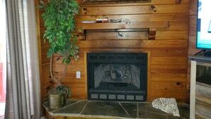 Un interior de madera con chimenea, un cuadro colgado encima, una planta y un televisor a la derecha.