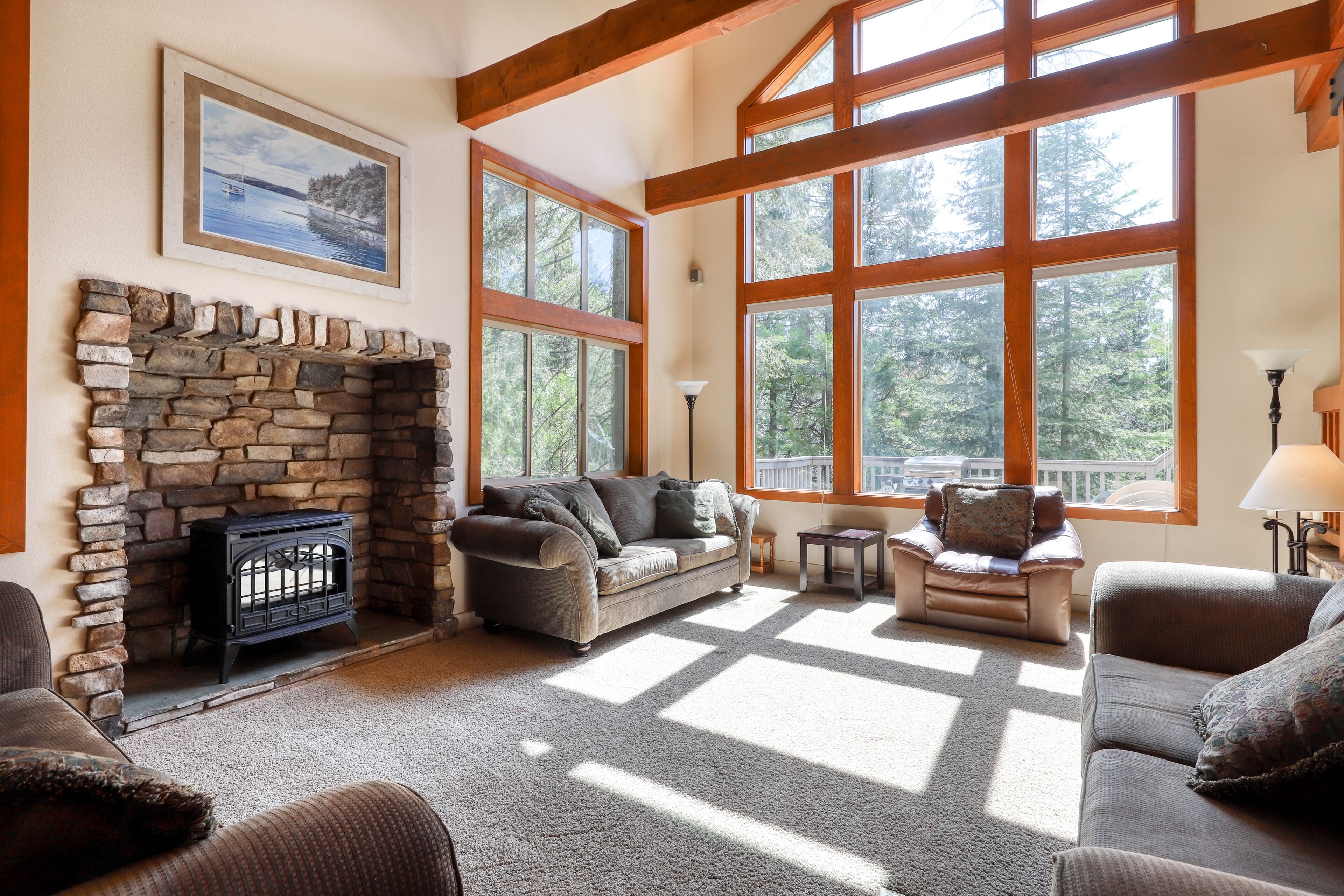 Télévision, cheminée, livres