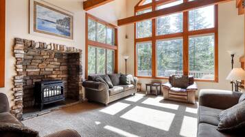 Télévision, cheminée, livres