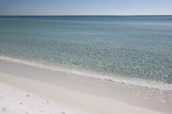 بالقرب من الشاطئ