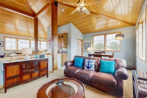 TV, fireplace, video games, DVD player
