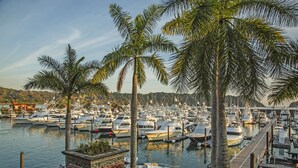 A marina with numerous boats docked, surrounded by palm trees and a stone building with a tiled roof. - Ocean Front Luxury Condo, close to pool area! (Playa Herradura)