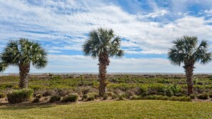 A landscape with three palm trees and a grassy field. - Shorewood 103 - Oceanfront 1st Floor Condo (Hilton Head Island)