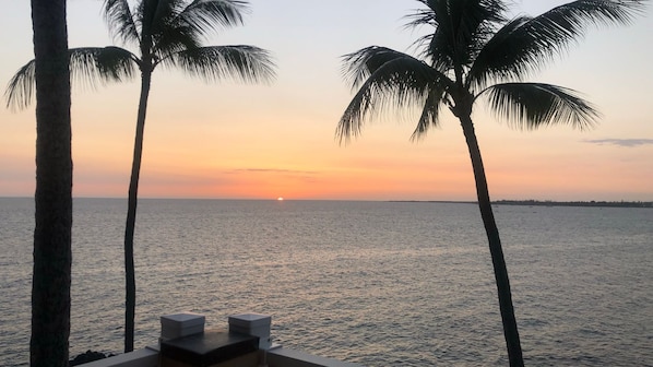 Une vue sur le coucher de soleil, avec des palmiers et une mer calme.
